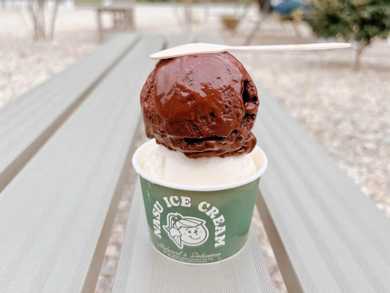NASU ICE CREAM08